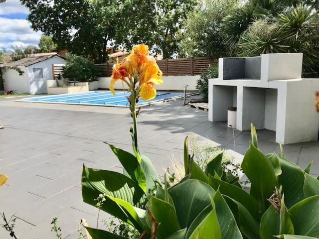 Maison Piscine 4 Ch Medoc Bassin Arcachon