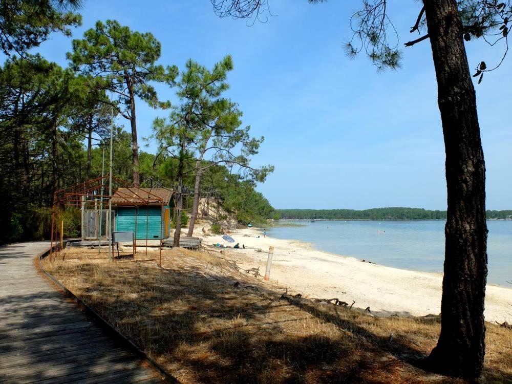 Maison Piscine 4 Ch Medoc Bassin Arcachon Hébergement de vacances