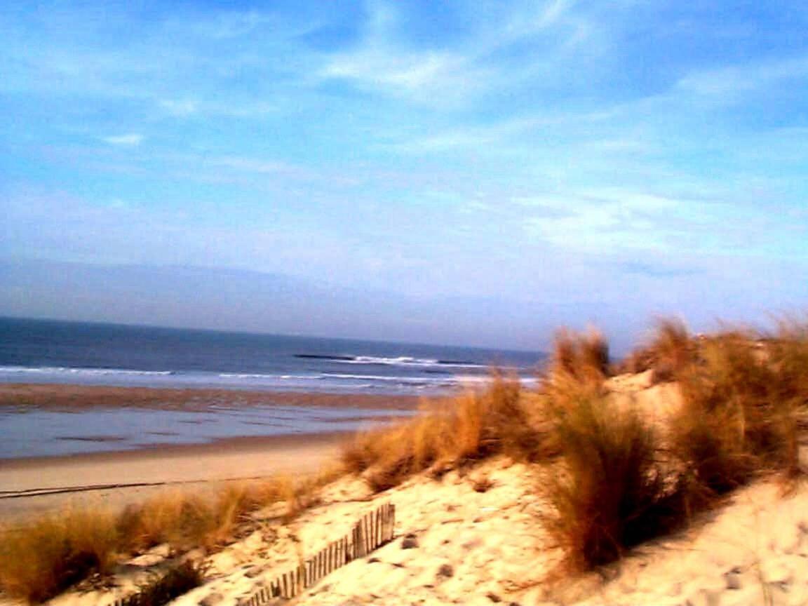 Hébergement de vacances Maison Piscine 4 Ch Medoc Bassin Arcachon *