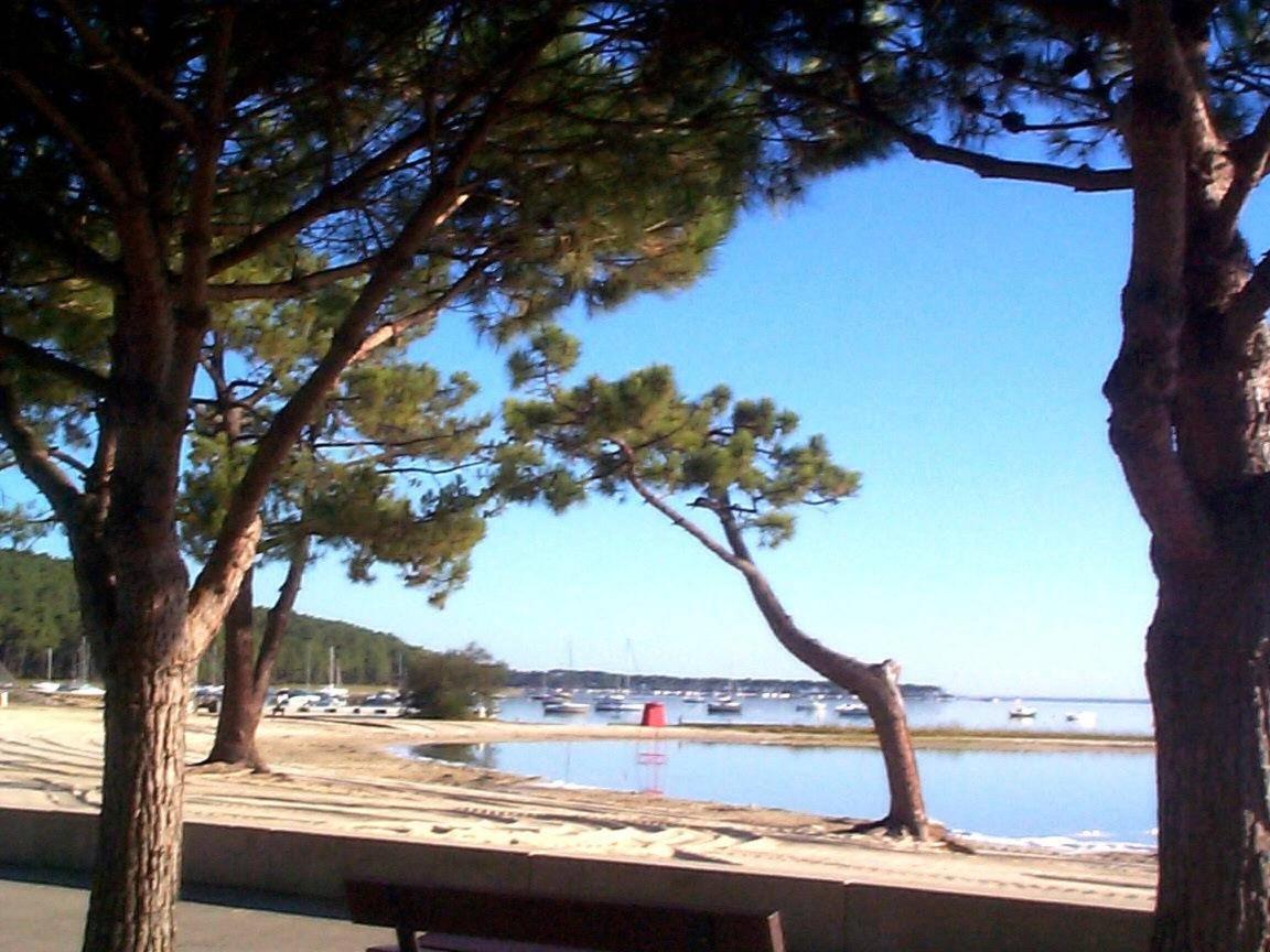 Hébergement de vacances Maison Piscine 4 Ch Medoc Bassin Arcachon