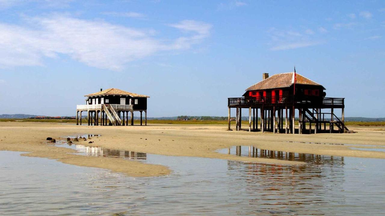 Maison Piscine 4 Ch Medoc Bassin Arcachon