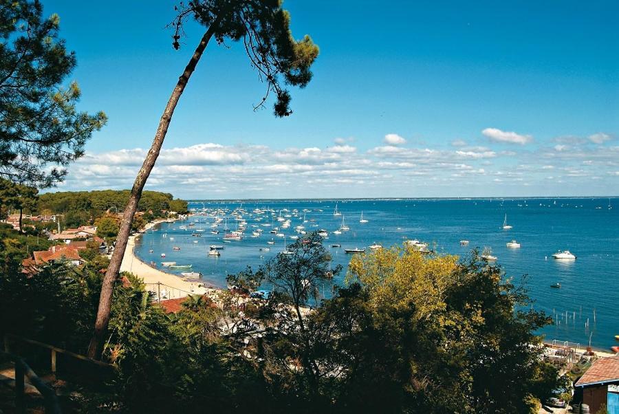 Maison Piscine 4 Ch Medoc Bassin Arcachon Hébergement de vacances