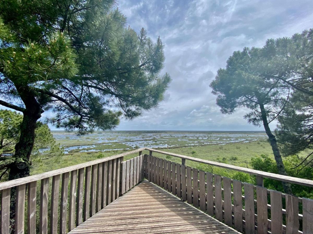 Maison Piscine 4 Ch Medoc Bassin Arcachon Hébergement de vacances Carcans