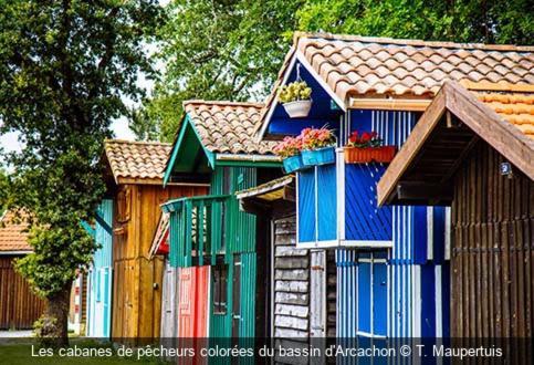 Maison Piscine 4 Ch Medoc Bassin Arcachon * Carcans