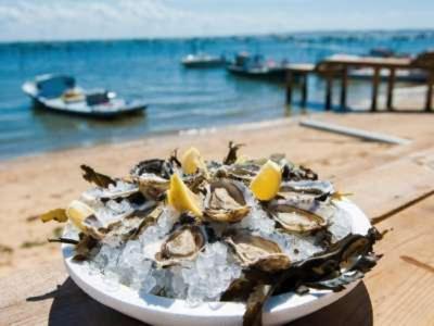 Hébergement de vacances Maison Piscine 4 Ch Medoc Bassin Arcachon *